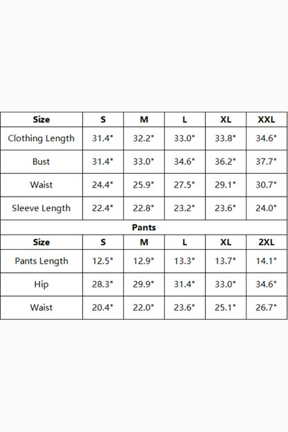 Women's Polo Collared V Neck Dress And Shorts Tennis Set